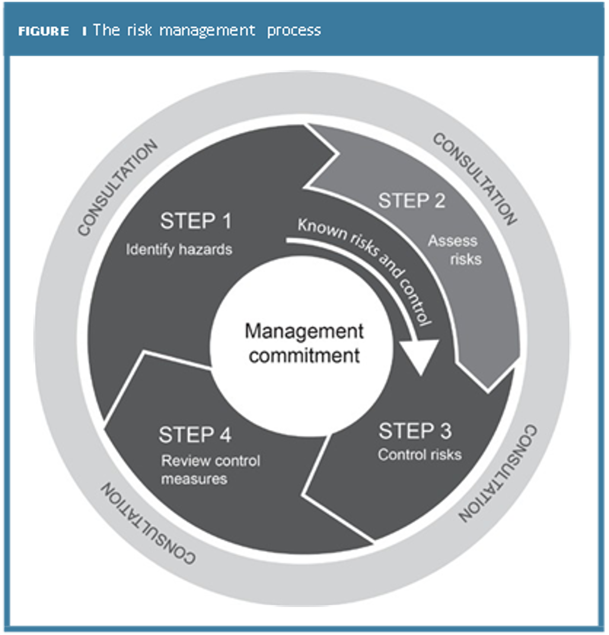 Risk Management Process Diagram