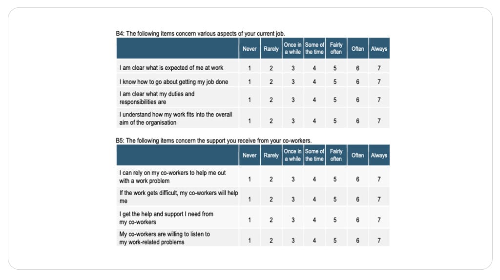 Psychosocial Risks Assessment - Work Survey